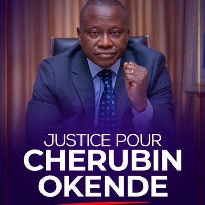 JUSTICE POUR CHÉRUBIN OKENDE Profile