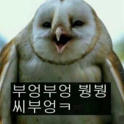 *내맘대로 사는 사람!
이재명지지자 민주주의를 지지하는 진보 페미니스트!
사업가.부동산,코인,주식투자자.
매일 매일 배우고 나아가는 중!
