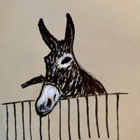 L’Âne islamobolchevik (@ynajiels) 's Twitter Profile