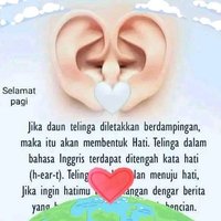 @tusdagwepapua (@nopertus44) 's Twitter Profile