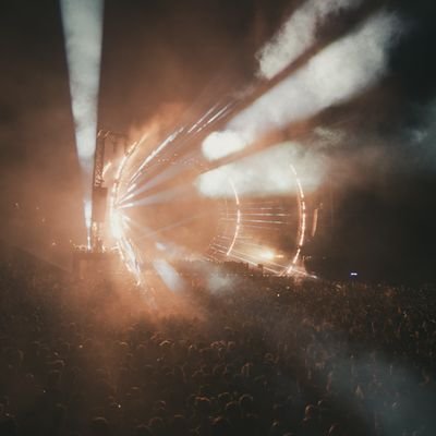 arbores111's profile picture. 