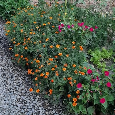 Ghaznawi92's profile picture. 