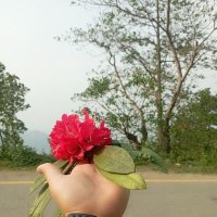Jijian Xie ❤️ Memecoin (@lanceneitzel) 's Twitter Profile