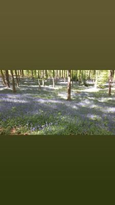 JohanIde's profile picture. Gepensioneerd Afdelingshoofd Vlaamse overheid - ABB