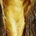 Shakthi M Senarathna ❤️ Memecoin (@adalinemogan) Twitter profile photo Shakthi M Senarathna ❤️ Memecoin (@adalinemogan) Twitter profile photo
