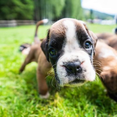 TradeQuestions1's profile picture. Learning to trade… and it’s a long and arduous road !