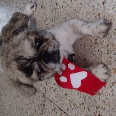 cruzvargas3858's profile picture. 