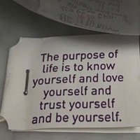 マッシュとゆき (@xy7qgay8qg99zx) Twitter profile photo