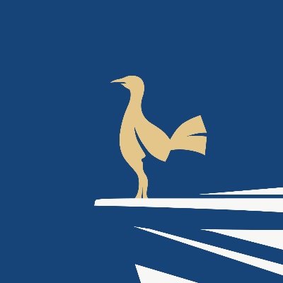 The View From The Lane Podcast Profile