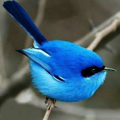 eastwind221b's profile picture. 映画 絵画 料理 🍃🌊 20↑