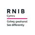 RNIB Cymru (@RNIBCymru) Twitter profile photo