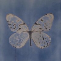www. 🧷comms open (@111papilio) 's Twitter Profile Photo www. 🧷comms open (@111papilio) 's Twitter Profile Photo