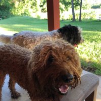 Dudley Dude 🇺🇸 (@dudedudley2018) 's Twitter Profile