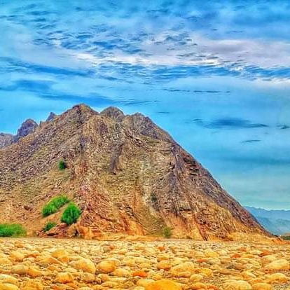 Wahabmagsi10's profile picture. 