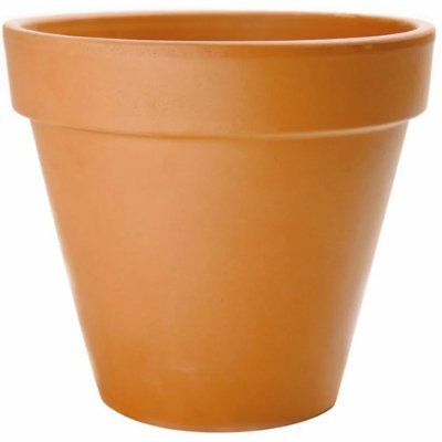 LewdFlowerPot Profile Picture