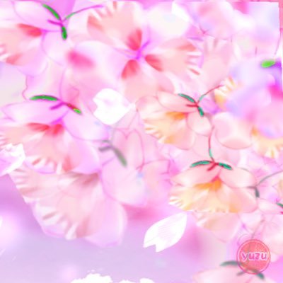 kHtaHaX2a068wqa's profile picture. 