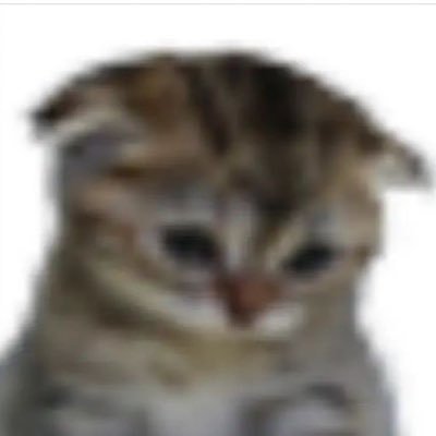 grungwsoul's profile picture. 