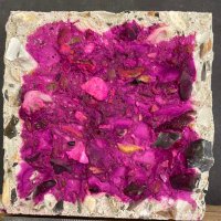 Concrete@Dundee (@ctudundee) 's Twitter Profile