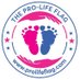 Pro-Life Flag Project (@ProLifeFlag) Twitter profile photo