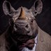 Arnold Rhinoceros (@ArnoldRhino) Twitter profile photo