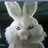 rabbittb's profile image