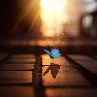 Amera Ahmed (@amera6122) 's Twitter Profile