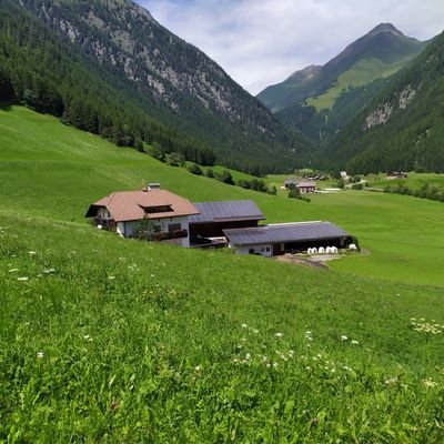 L'ambiente è una risorsa e non un problema.