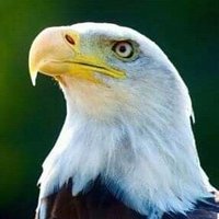 imtiaz agha (@imtiazagha3) 's Twitter Profile