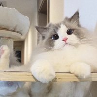 ち! (@knwnwaa) 's Twitter Profile