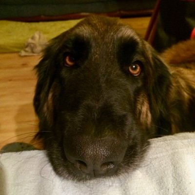 Kiné des genoux, isocinétisme,
DU hypnose médicale, EMDR, thérapies brèves, sommeil.
Membre collectif #NoFakeMed. Anti RN/LFI
Alpiniste parfois ...