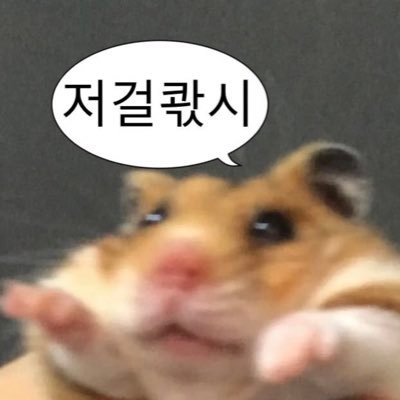 성인 _ 구독계