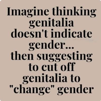 4ChanCatholic's profile picture. Wisdom is underrated and underappreciated, Pray for Wisdom. People worshipping science, left and right. God Bless.