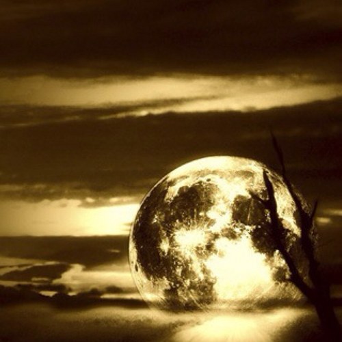 RBurham's profile picture. 