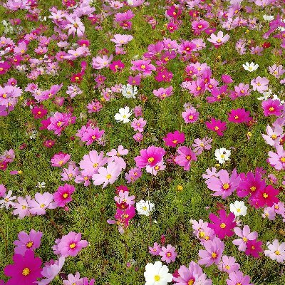 116_rmc's profile picture. 