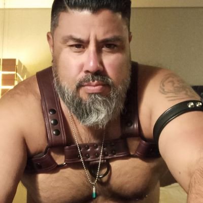 44 yr
Latino Bear