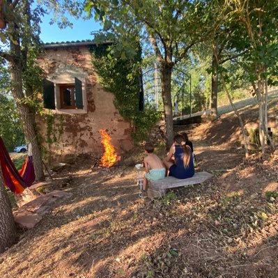 anis1131's profile picture. admiratif des insoumis de tous bords