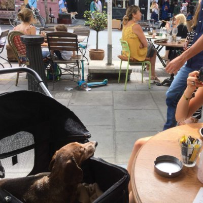 bozviz's profile picture. 