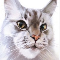 ZF Moley (@emperormoley) 's Twitter Profile