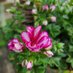 Cathy Edwards (@cathyed45098166) Twitter profile photo Cathy Edwards (@cathyed45098166) Twitter profile photo