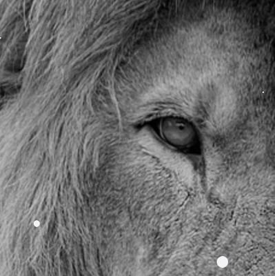 PresagePointsTo's profile picture. Imperfect lover of GOD and YESHUA Conscientious observer of life ✨a firmly rooted seed of Brassicaceae
Gam Zu L'Tova
⚠ warning ⚠ MAY WAX POETIC