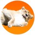 HB (@casagrandezz) Twitter profile photo HB (@casagrandezz) Twitter profile photo