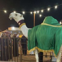 شجاع الغييثي 📸🐪 (@shjaa_50) 's Twitter Profile