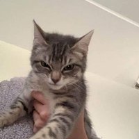 Ann (@ann_brawlstars) 's Twitter Profile Photo Ann (@ann_brawlstars) 's Twitter Profile Photo