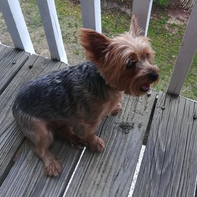 jmlattin's profile picture. 