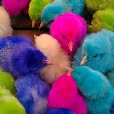 davilitros2000's profile picture. 