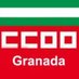 CCOO Granada (@ccoogranada) Twitter profile photo