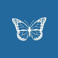 🦋 (@tweetsrapeandos) 's Twitter Profile