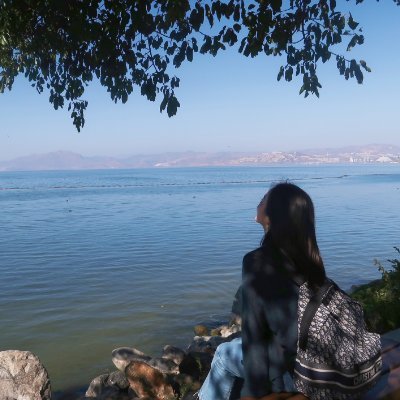 MulanOtiz's profile picture. Don't forget the past when you succeed; don't forget the future when you fail.