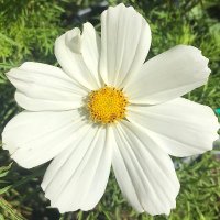 Heidi (@heidi32262228) 's Twitter Profile