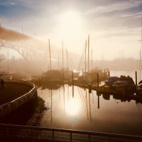 Mike Baker (@michaelroybaker) 's Twitter Profile